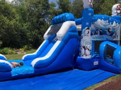 029de6cbd5bb151462d9f597573b6d2e 1766595062 Penguin Bounce House w/ Slide